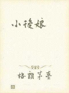 小后娘封面