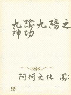九阴九阳之阴阳神功封面