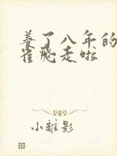 养了八年的金丝雀飞走啦