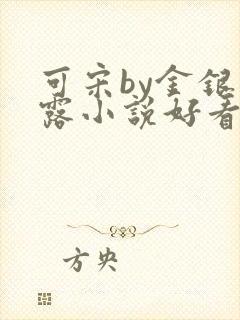 可宋by金银花露小说好看吗