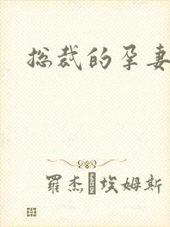 总裁的孕妻封面