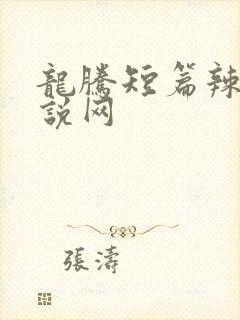 龙腾短篇辣文小说网