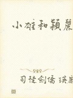小雄和颖丽封面