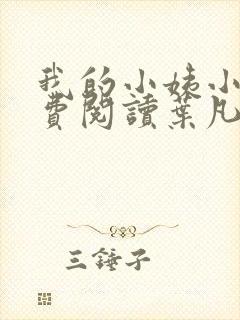 我的小姨小说免费阅读叶凡