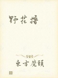 野花撸