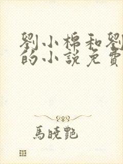 刘小棉和刘易文的小说免费阅读