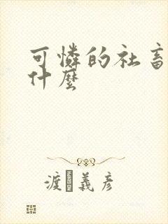 可怜的社畜讲的什么