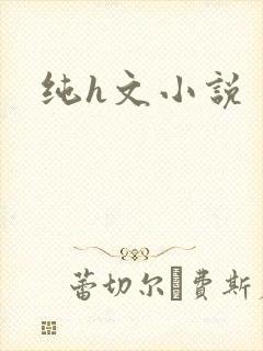 纯h文小说