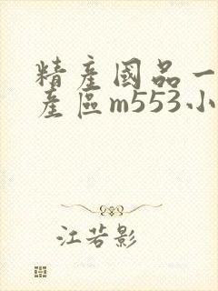 精产国品一二三产区m553小说封面