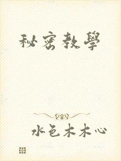 秘密教学