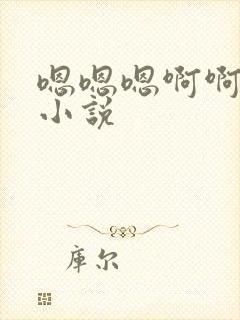 嗯嗯嗯啊啊啊的小说封面