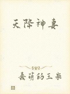 天降神妻