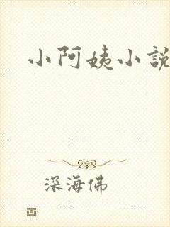 小阿姨小说封面