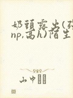 奶头露出(强jnp,高h)陌生人小说小说