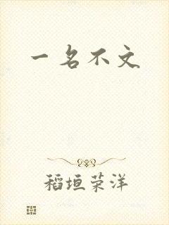 一名不文
