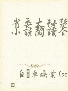 省委大秘楚东恒小说阅读全文封面