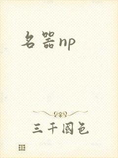 名器np