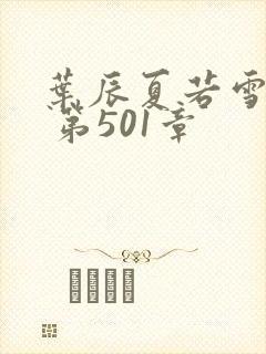 叶辰夏若雪孙怡 第501章