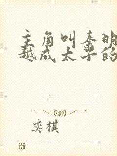 主角叫秦明的穿越成太子的小说