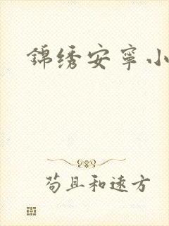 锦绣安宁小说