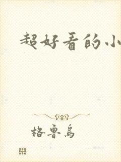 超好看的小说h封面