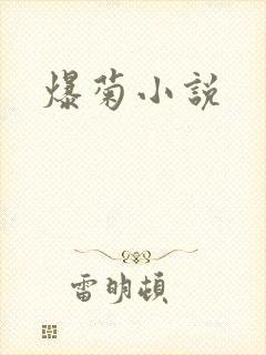 爆菊小说