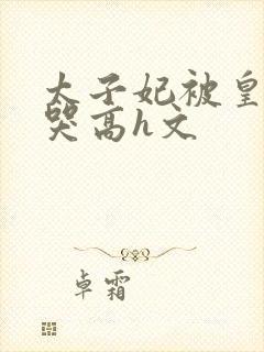 太子妃被皇上c哭高h文封面