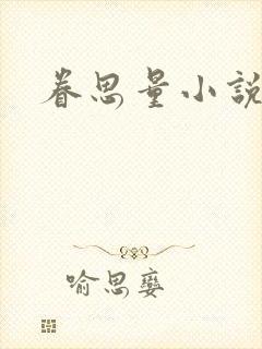 眷思量小说封面