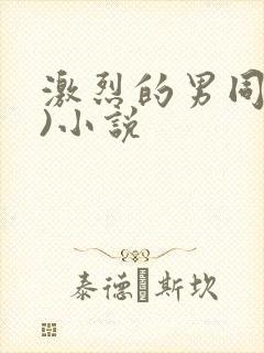 激烈的男同(h)小说