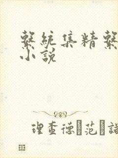 系统集精系统 小说