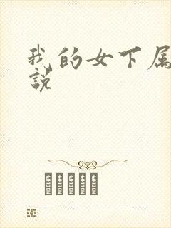我的女下属们小说封面