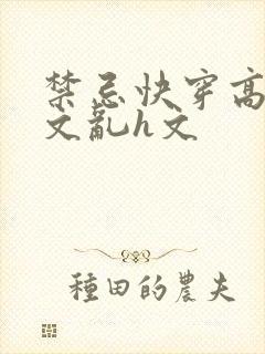 禁忌快穿高辣h文乱h文