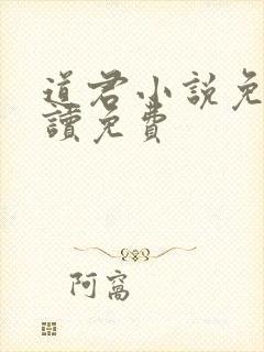 道君小说免费阅读免费