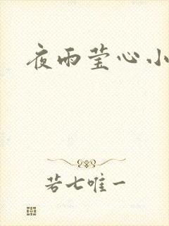 夜雨莹心小说