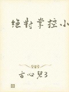 绝对掌控小说