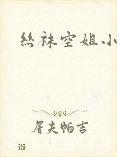 丝袜空姐小说封面