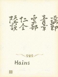 陆仁云青瑶的小说全部章节