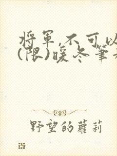 将军,不可以!(限)暖冬笔趣阁免费阅读封面