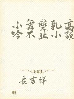 小舞双乳高耸呻吟不止小说封面