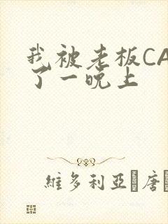 我被老板CAO了一晚上