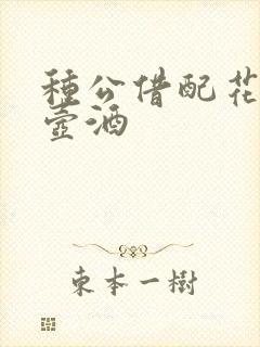 种公借配花间一壶酒