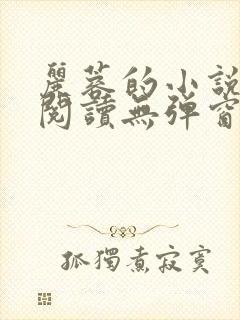 丽蓉的小说全文阅读无弹窗