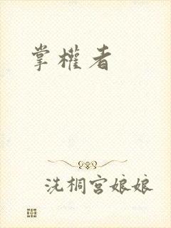 掌权者封面