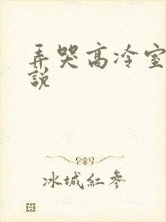弄哭高冷室友小说封面