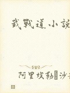 武战道小说封面