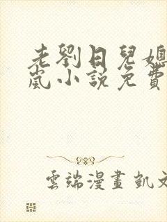 老刘日儿媳妇张岚小说免费阅读封面