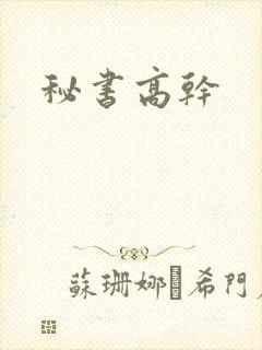 秘书高干封面