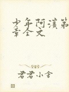 少年阿滨第13章全文