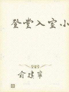 登堂入室小说