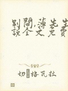 别闹,薄先生小说全文免费阅读封面